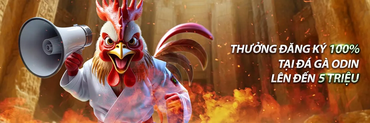 Hình ảnh tổng quan về tin tức đá gà Thomo trực tiếp hôm nay