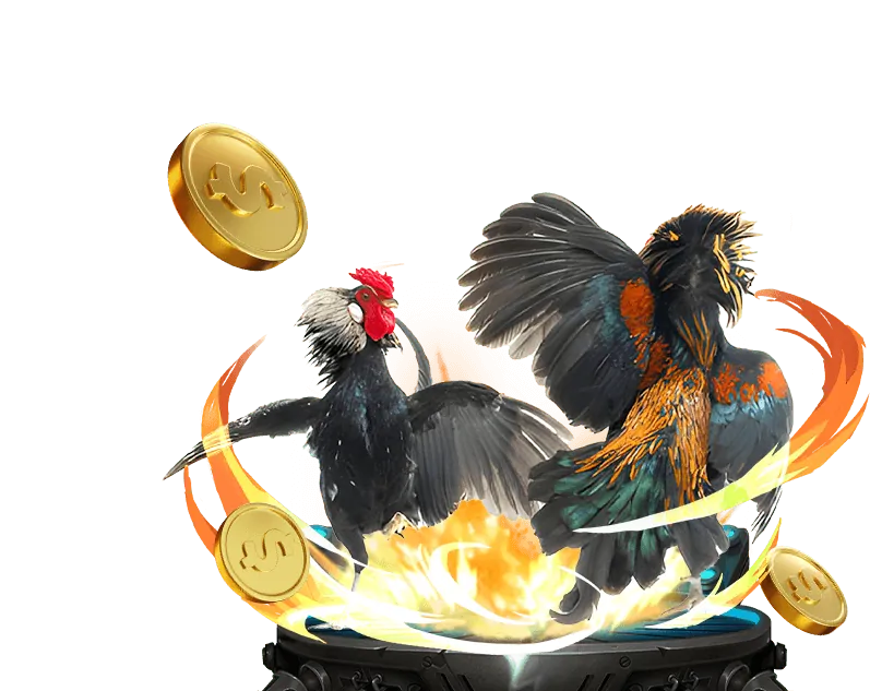 Khoảnh khắc chiến thắng đầy kịch tính của gà đá