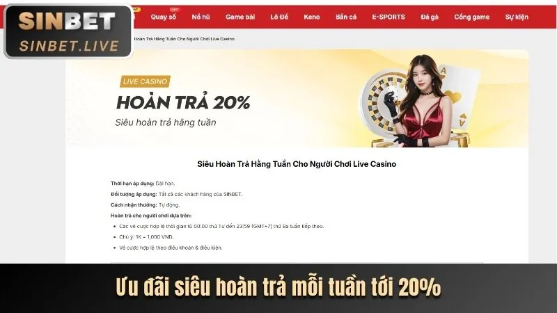 Chương trình VIP và hoàn trả